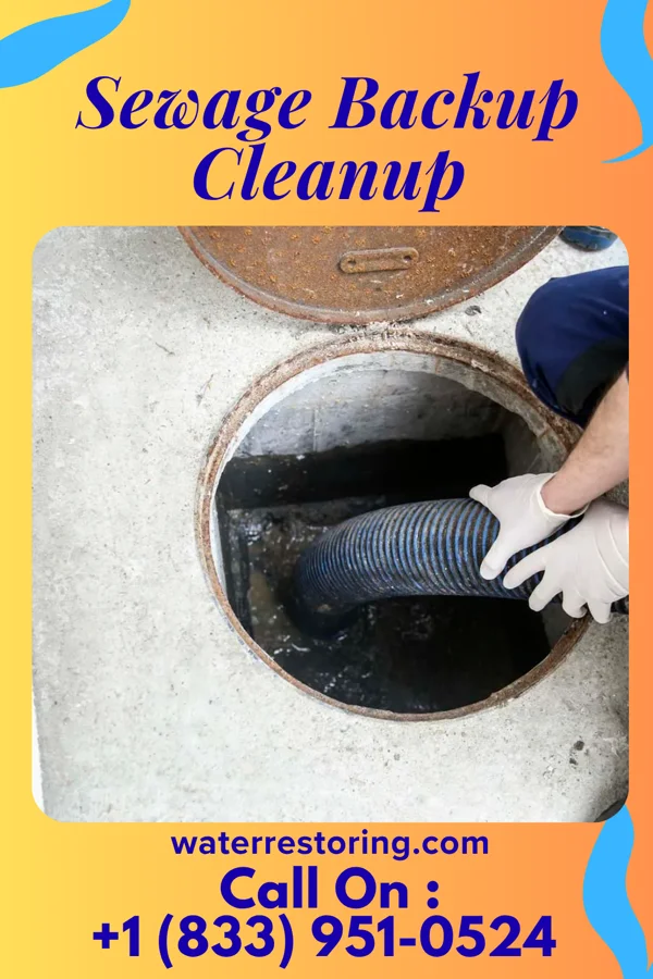 Sewage Backup Cleanup in Chamizal, NM