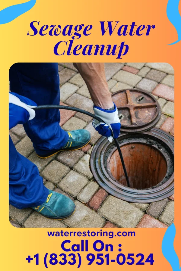 Sewage Water Cleanup in Chamizal, NM