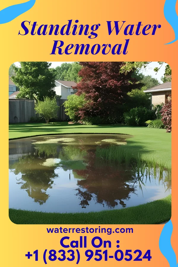 Standing Water Removal in Chamizal, NM